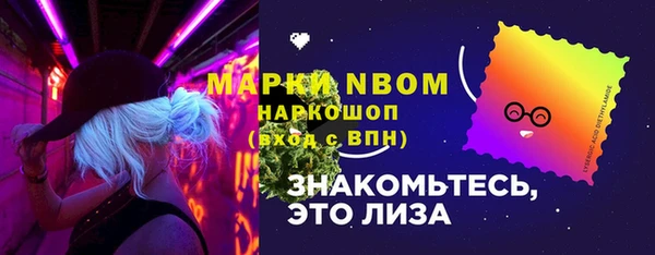 гашик Балахна