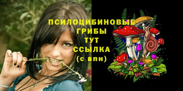 гашик Балахна