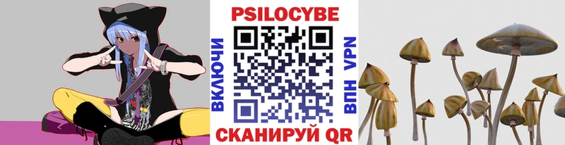 как найти закладки  Кубинка  Галлюциногенные грибы MAGIC MUSHROOMS 